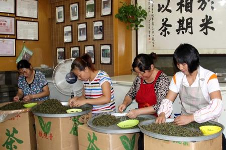 上海最大茶叶集散地之一—九星茶叶市场