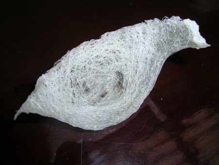 揭穿人参鹿茸燕窝造假骗术